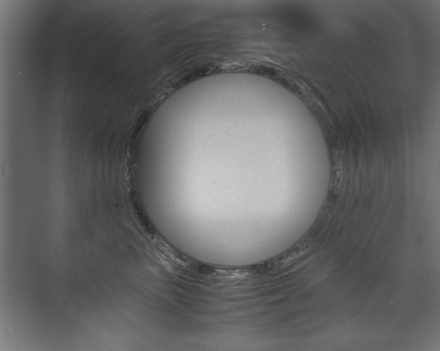 X0000074030667200608211137
