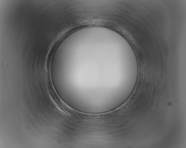 X0000074030674200608211137