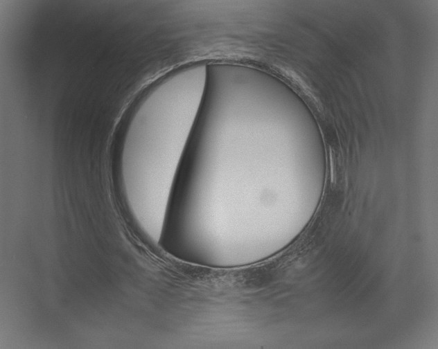 X0000074030675200608211137