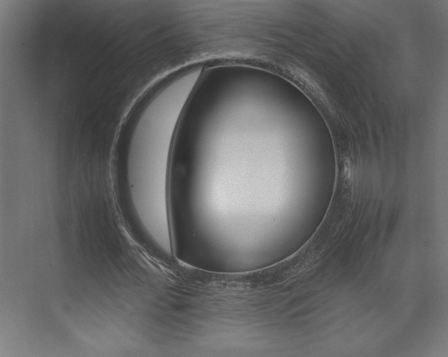 X0000074030676200608211137