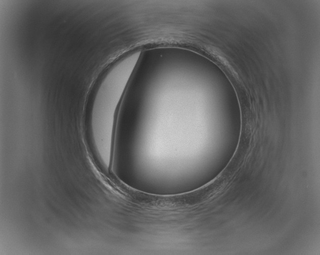 X0000074030677200608211137