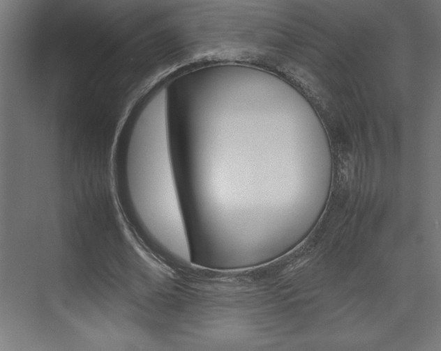 X0000074030678200608211137