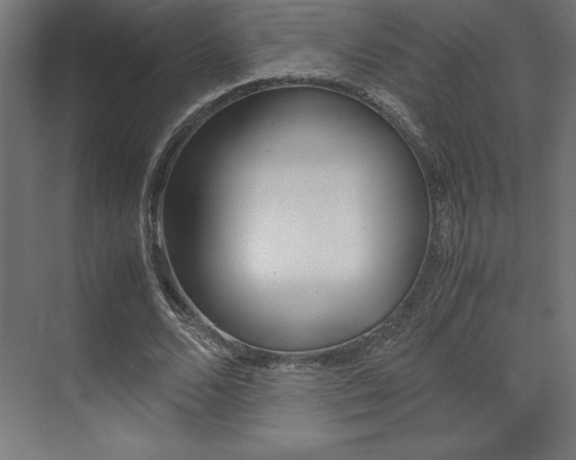 X0000074030680200608211137