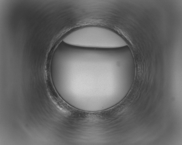 X0000074030682200608211137
