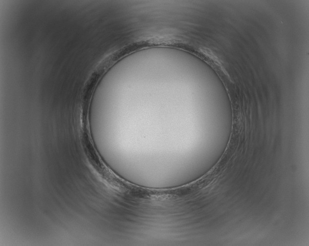 X0000074030686200608211137