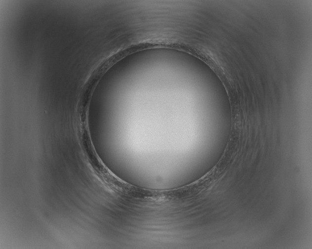 X0000074030688200608211136