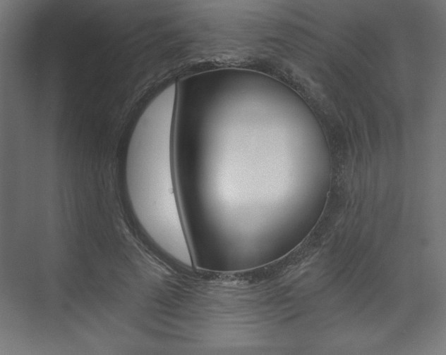 X0000074030689200608211136