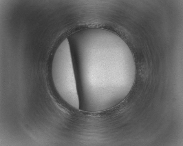 X0000074030690200608211136