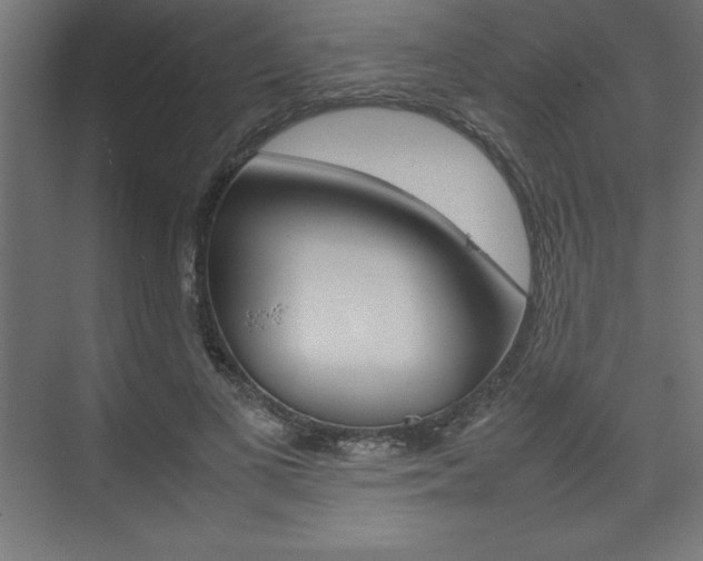 X0000074030693200608211136