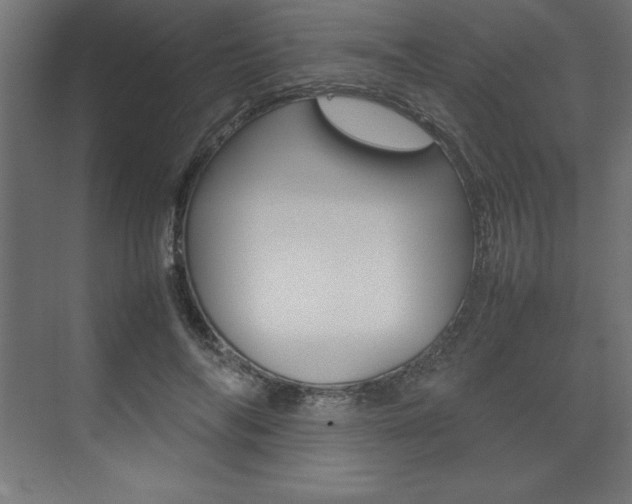 X0000074030694200608211136