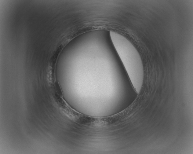 X0000074030696200608211136