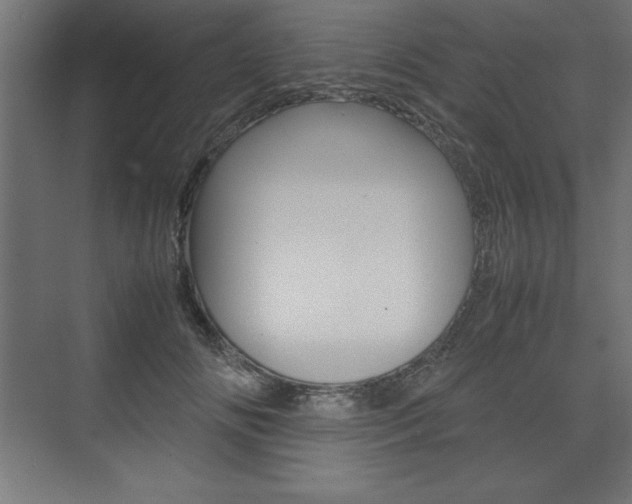 X0000074030702200608211136
