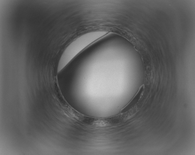 X0000074030704200608211136