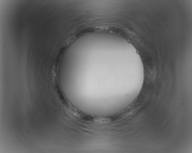 X0000074030707200608211136