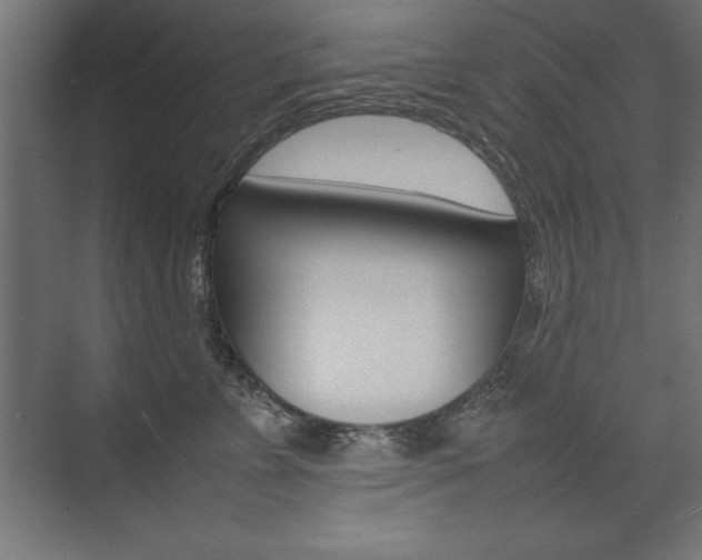X0000074030715200608211136