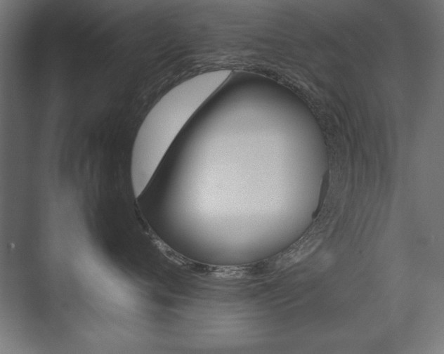 X0000074030720200608211136
