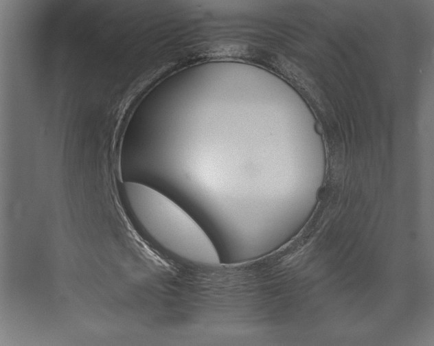 X0000074030721200608211135