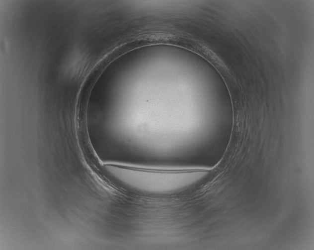X0000074030722200608211135