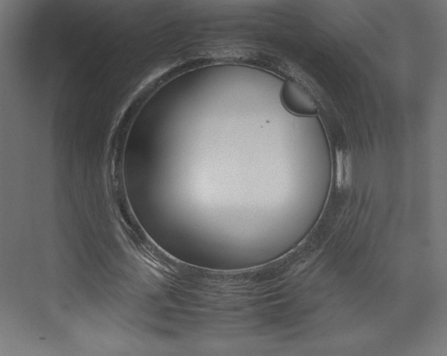 X0000074030723200608211135