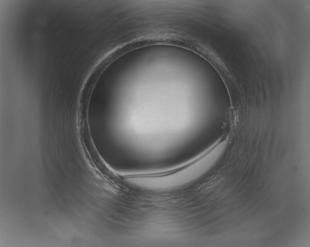 X0000074030724200608211135