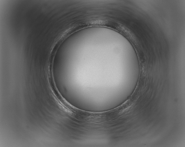 X0000074030725200608211135