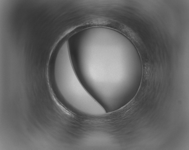 X0000074030726200608211135