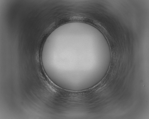 X0000074030729200608211135