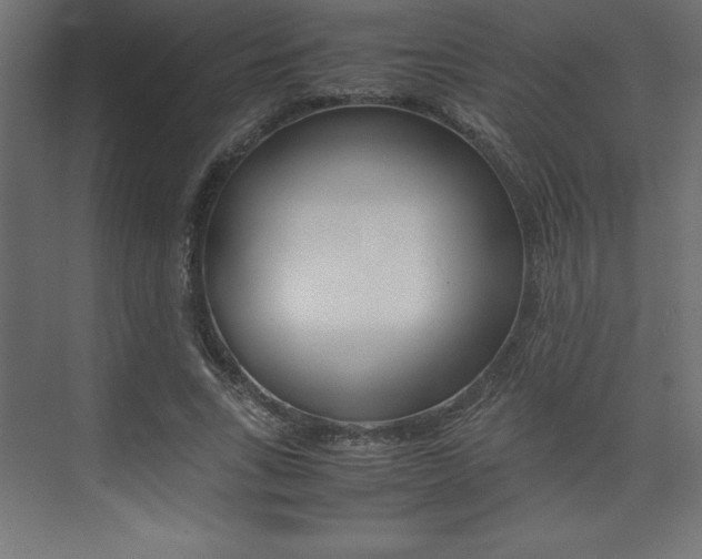 X0000074030735200608211135