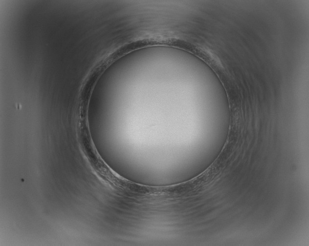 X0000074030736200608211135