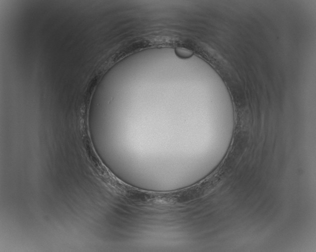 X0000074030737200608211135
