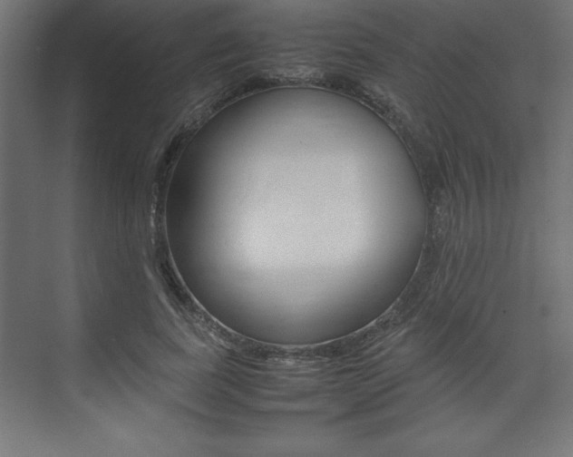 X0000074030739200608211135