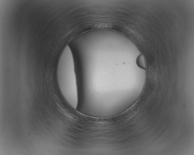 X0000074030741200608211135