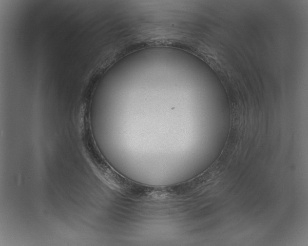 X0000074030742200608211135
