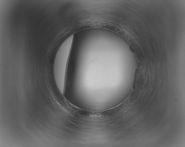 X0000074030744200608211136