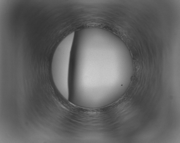 X0000074030745200608211136