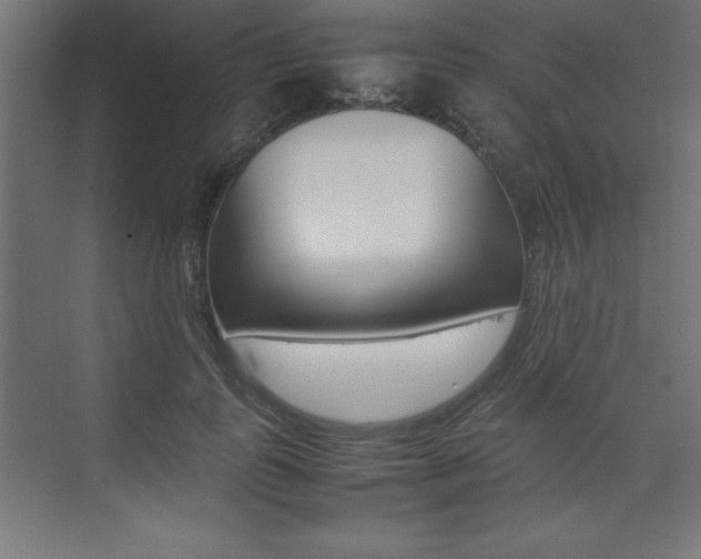 X0000074030747200608211136
