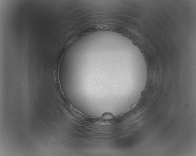 X0000074030749200608211136