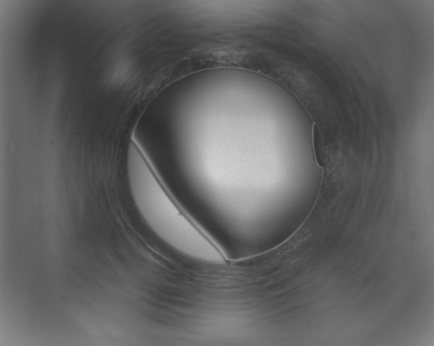 X0000074030752200608211136