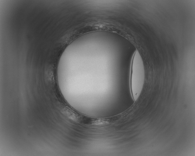 X0000074030754200608211136