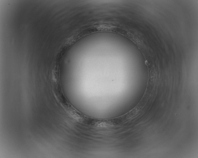 X0000074030755200608211136