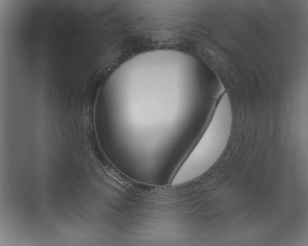 X0000074030756200608211136