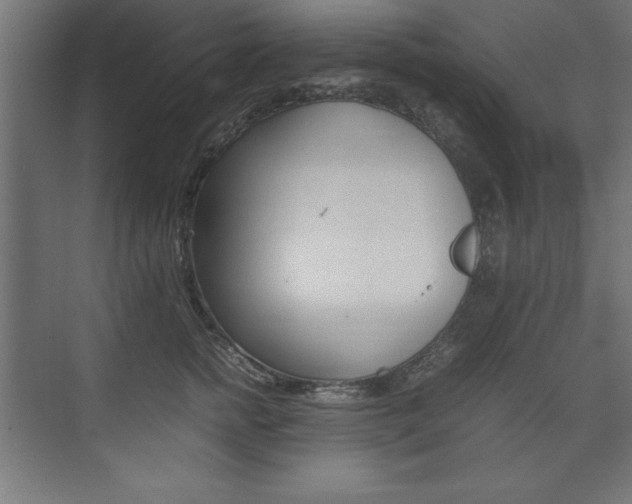 X0000074030758200608211136