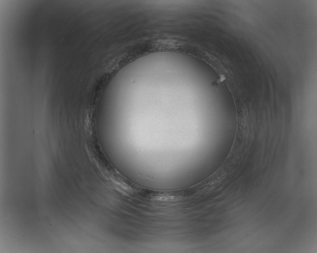X0000074030759200608211136