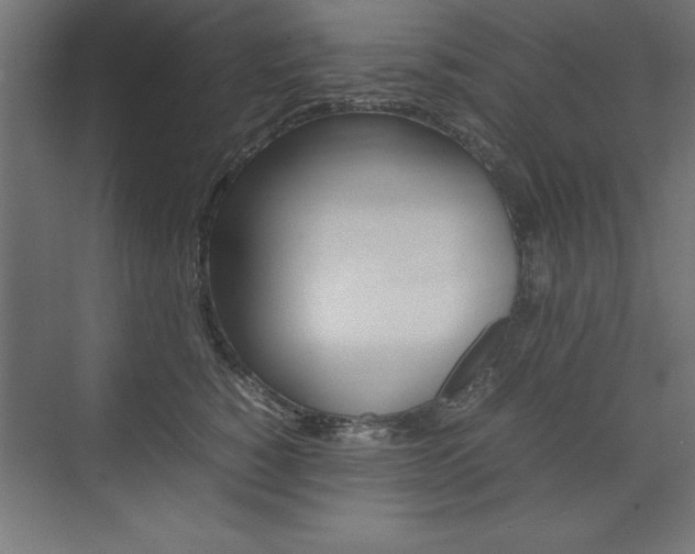 X0000074030760200608211136