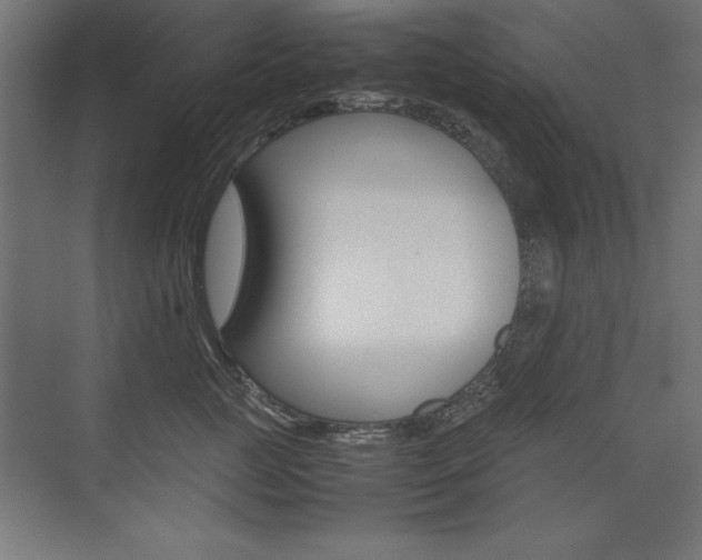 X0000074030761200608211136