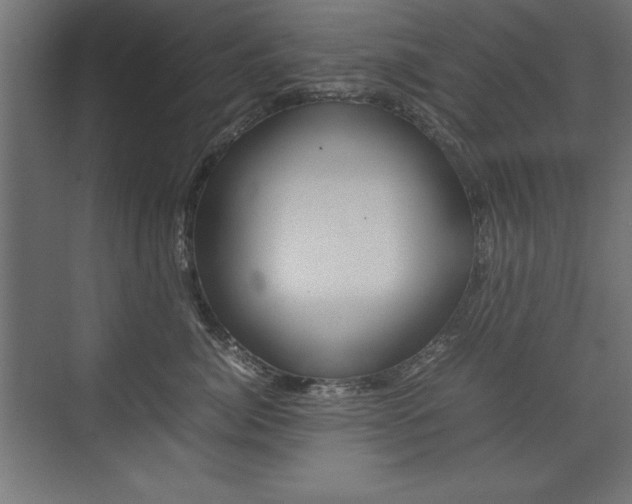 X0000074030764200608211136