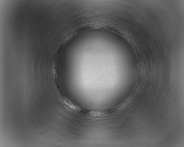X0000074030766200608211136