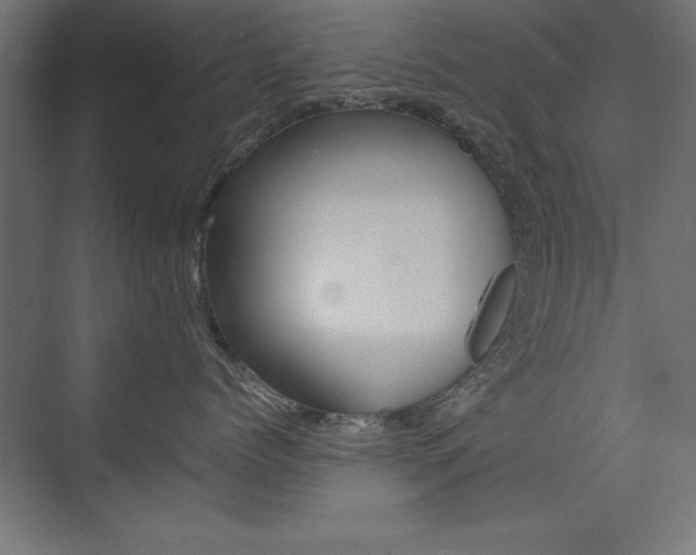 X0000074030768200608211136