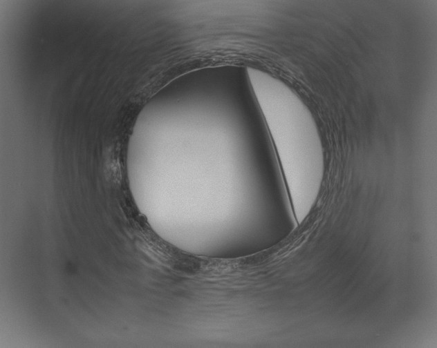X0000074030771200608211135