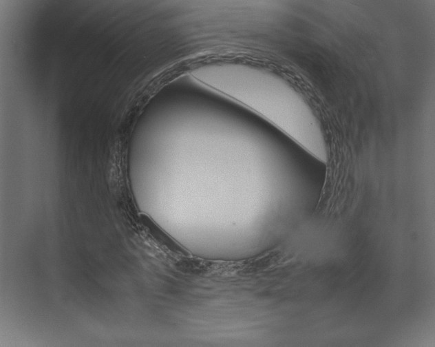 X0000074030773200608211135